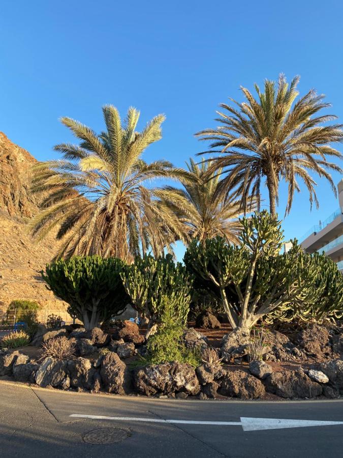 La Arenita - Oceanview Apartment パルム・マール エクステリア 写真